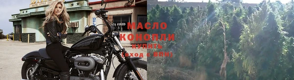 дурь Няндома
