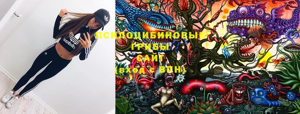 дурь Няндома
