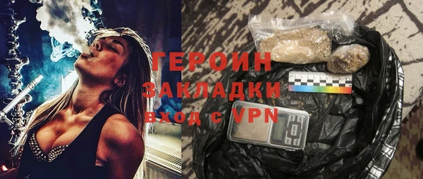 дурь Няндома