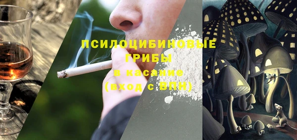 тгк Новозыбков
