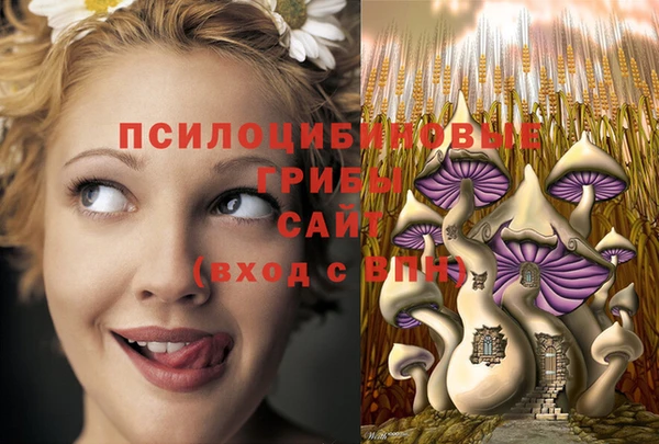 spice Новокубанск