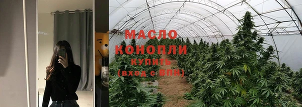 тгк Новозыбков