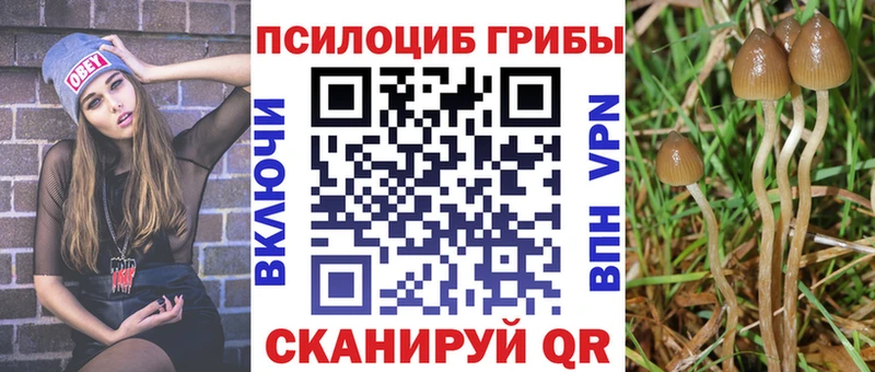 Галлюциногенные грибы Cubensis  Хадыженск 